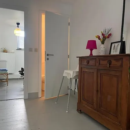 度假居 Maison De Maitre En Avec Jardin 那慕尔