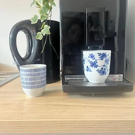 Maison De Maitre En Avec Jardin 那慕尔